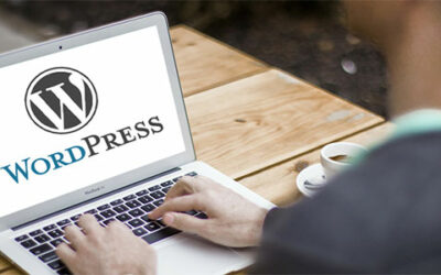 WordPress for Developing Business Website