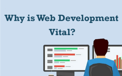 Why Is Web Development Vital?