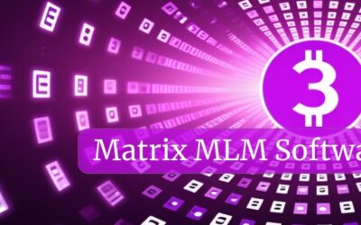 3×8 Forced Matrix MLM Plan