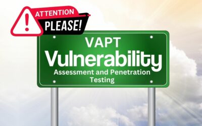 Vulnerability Assessment and Penetration Testing (VAPT): Shield Your Code, Secure Your Future