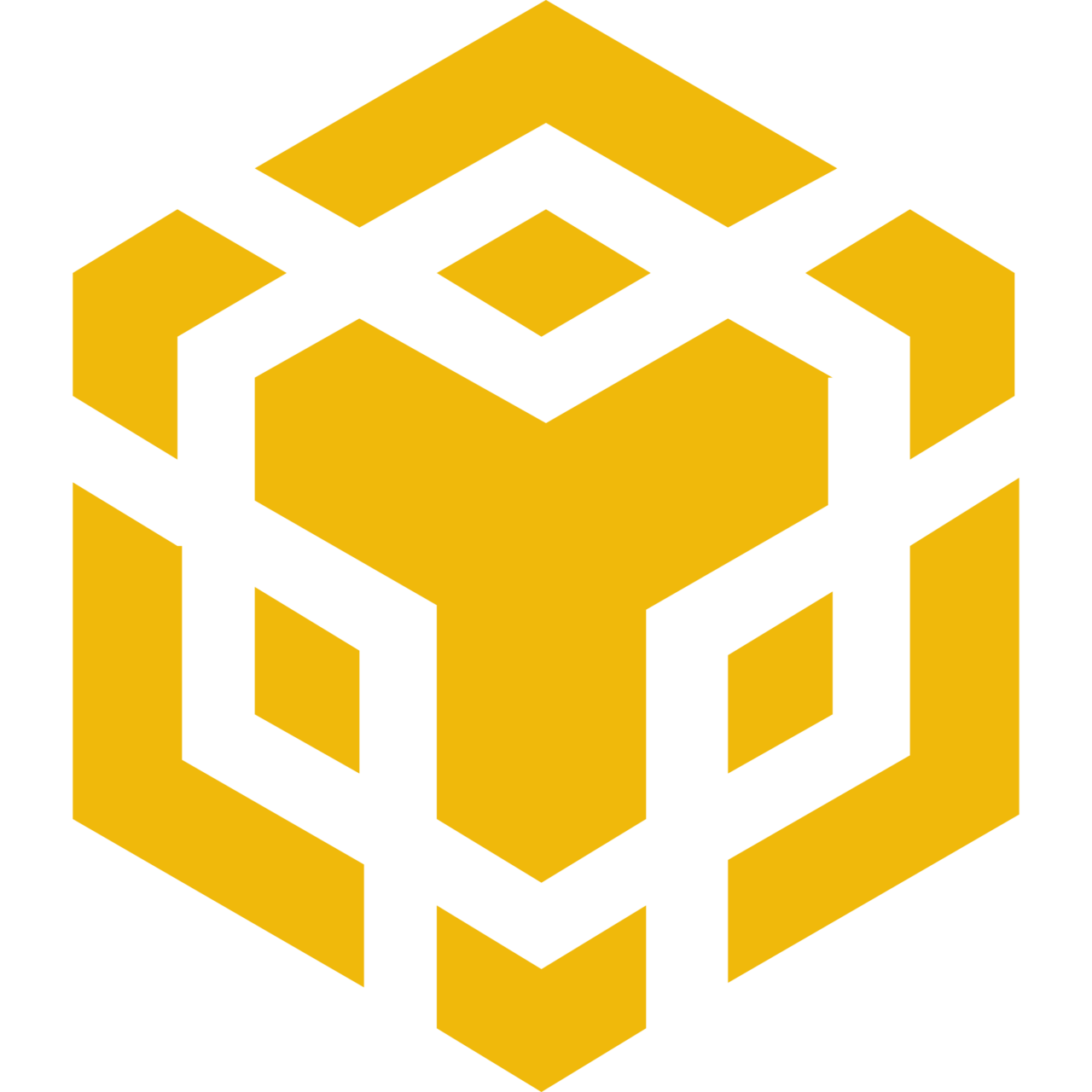 Binance-Smart-Chain-logo hire google cloud developers in madurai