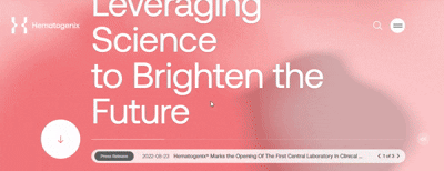 animated website-Hematogenix 